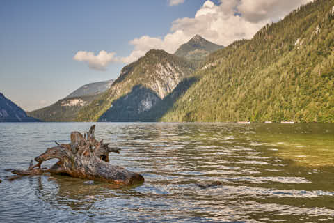 Gemeinde Schönau Landkreis Berchtesgadener_Land Königssee (Dirschl Johann) Deutschland BGL